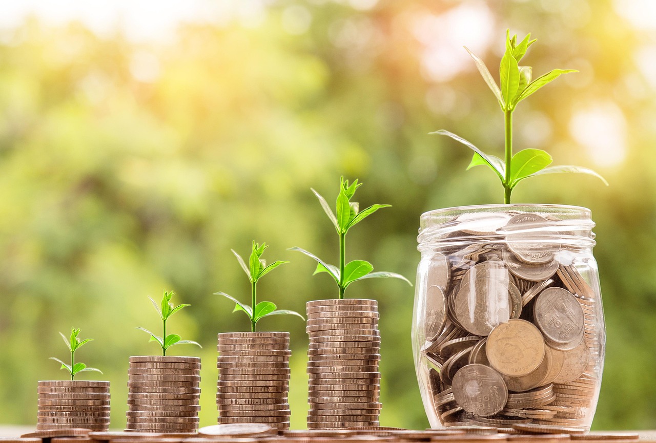 Tout savoir sur l’opci placement et son fonctionnement