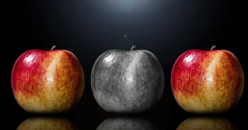 Investissement locatif rentable : comparer les options avant de signer