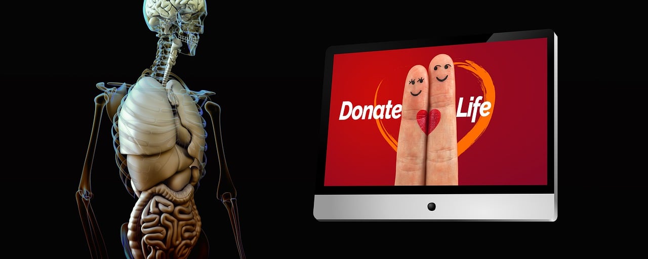 Tout savoir sur la donation vivant : démarches, avantages et conseils pratiques