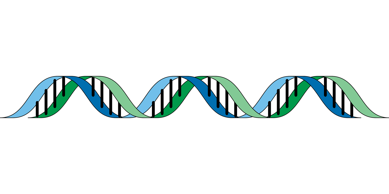 d&eacute;couvrez tout sur l'h&eacute;ritage : d&eacute;finition, l&eacute;gislation, conseils pratiques pour r&eacute;ussir la transmission de patrimoine en toute s&eacute;r&eacute;nit&eacute;.