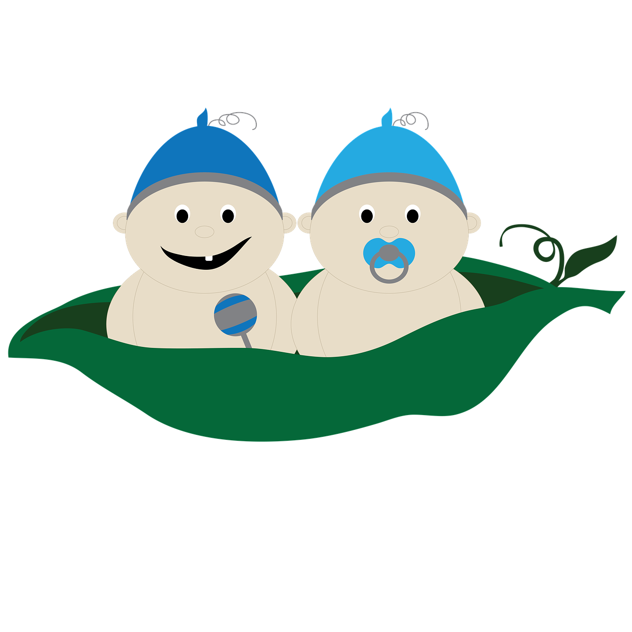 découvrez le fonctionnement du pois et ses bienfaits pour la santé, ainsi que ses utilisations culinaires et nutritionnelles.